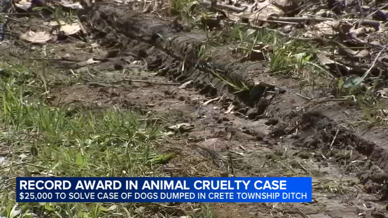$25K reward now offered for information after 6 dead dogs found dumped in Crete Township
— Palatine Community news
