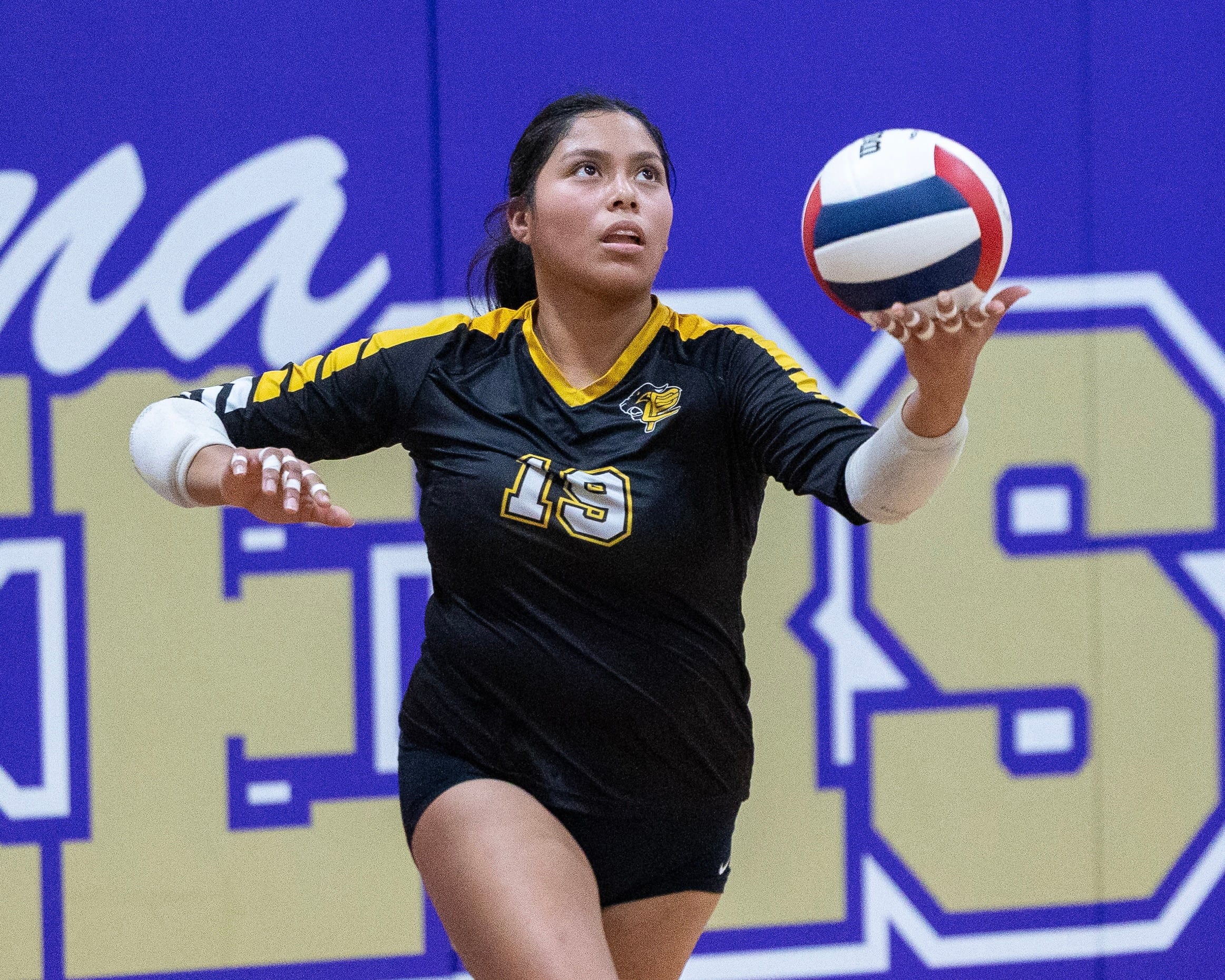 Putnam County volleyball falls in regional final: Thursday’s NewsTribune/BCR roundup — Palatine Community news
