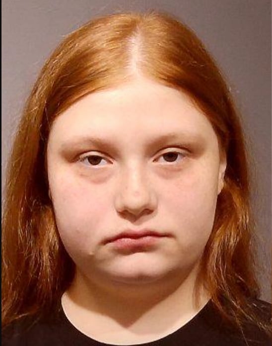 Plano woman charged after allegedly attempting to run over someone during dispute — Palatine Community news