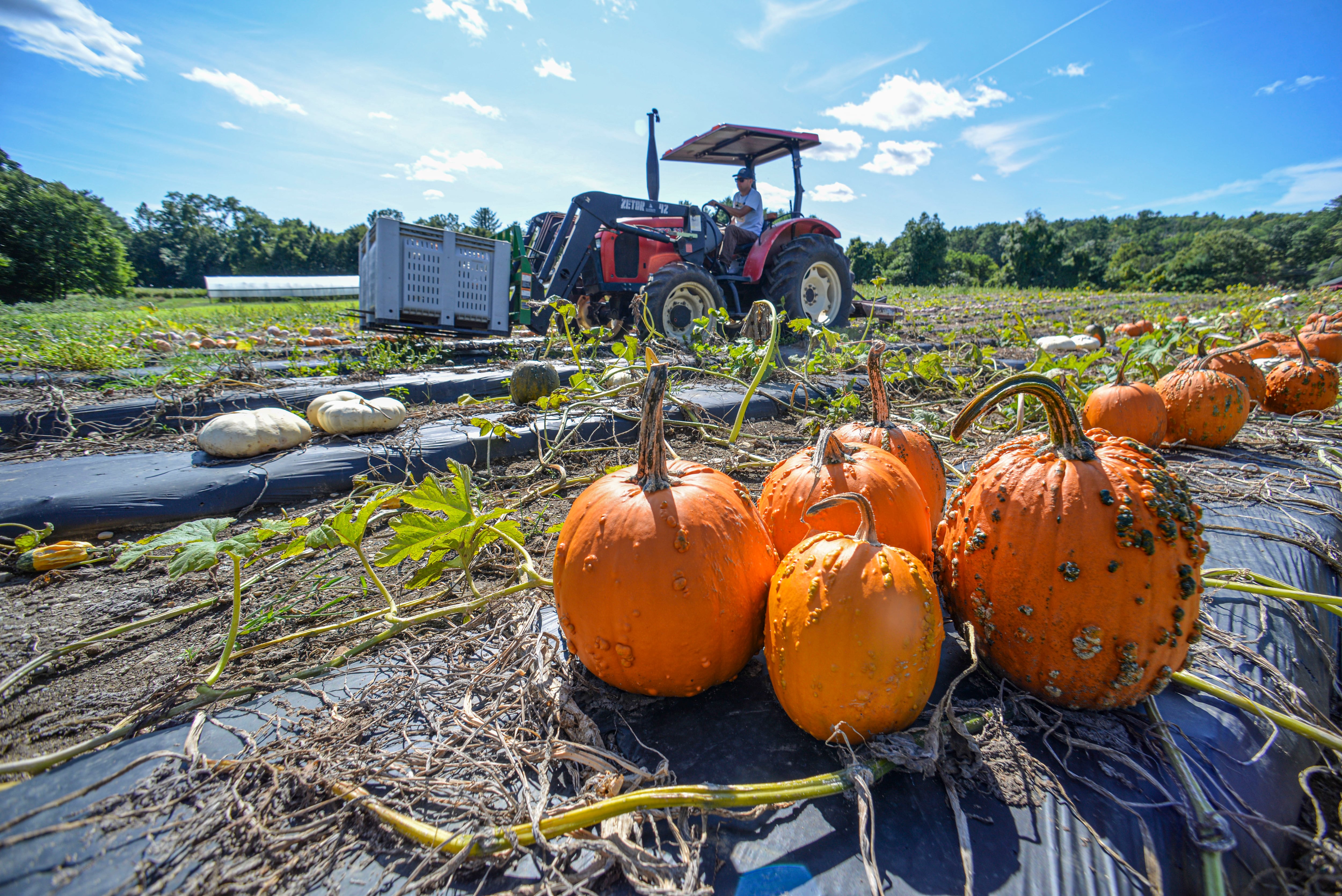 Breaking point: Rising costs grip ag economy — Palatine Arts news